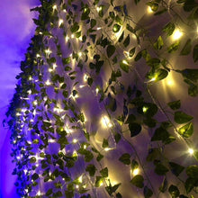 Load image into Gallery viewer, LED IVY VINE STRING LIGHTS 2M
